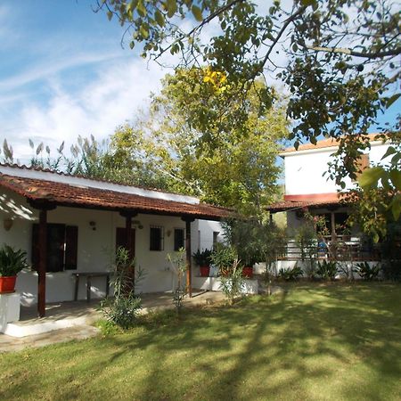 Villa Mina Potistika Luaran gambar